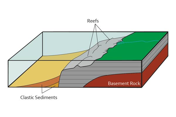 Diagram of Devonian carbonate reef formation showing basement rock, clastic sediments, and reef structures — the geological origin of Rat's Nest Cave limestone, Canmore Alberta